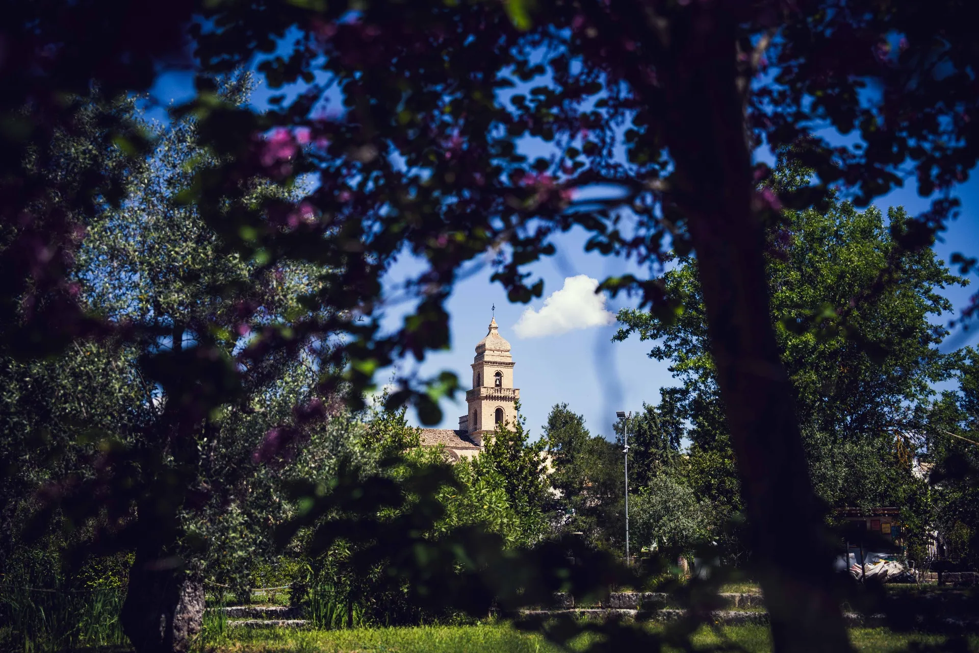 Gravina in Puglia